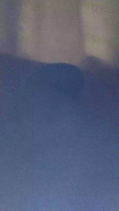Boy288270 live from Brazil