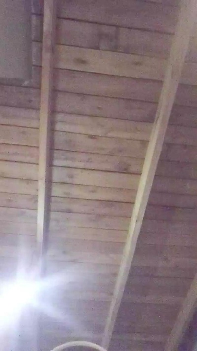 Cowuda live from Argentina