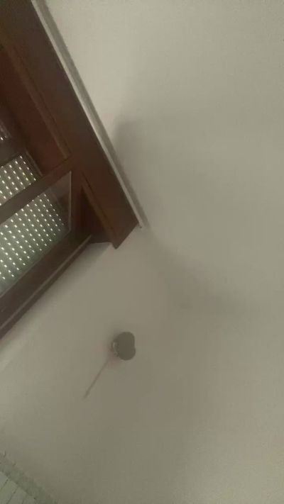 Curtis7899 live from Italy