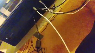 CzechBred live from Czechia