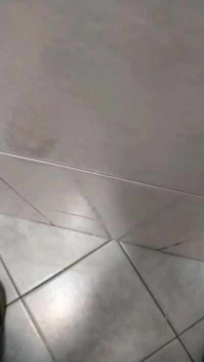 Duck20741 live from Italy