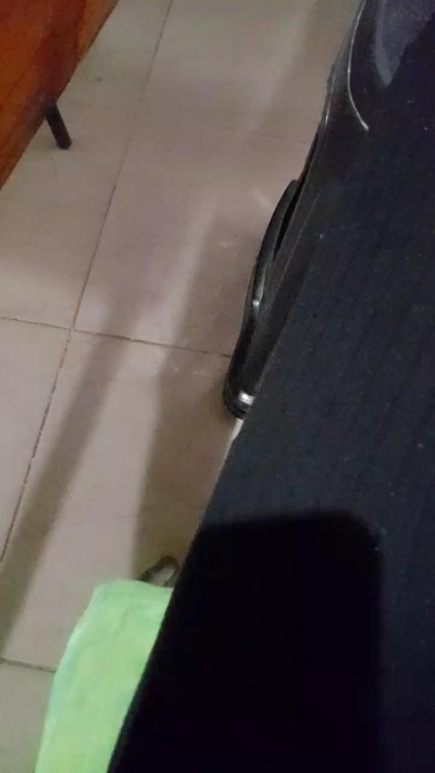 Gataonlyxx live from Argentina