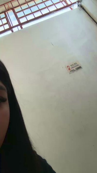 Juliagosto live from Brazil