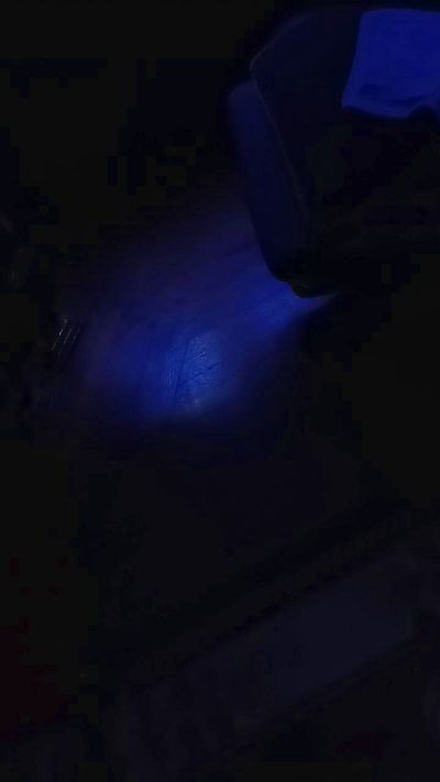 Latinlover513 live from United States