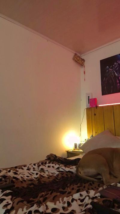 LaurenJGray live from Colombia