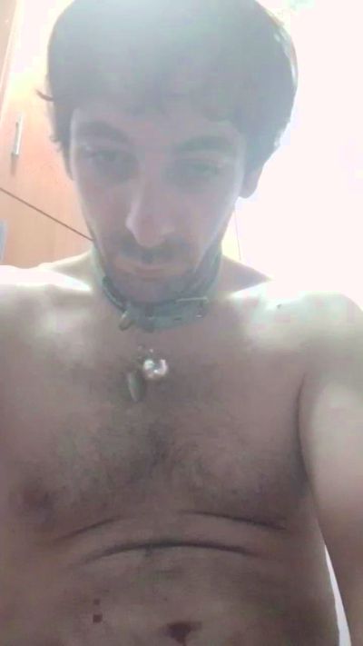 alfoneko live from Italy