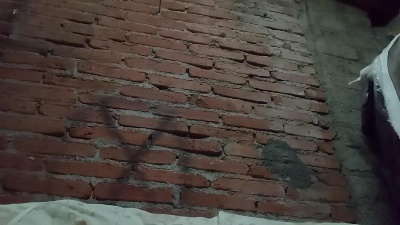 asisoyxxx live from Mexico