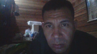 cachorrogat live from Brazil