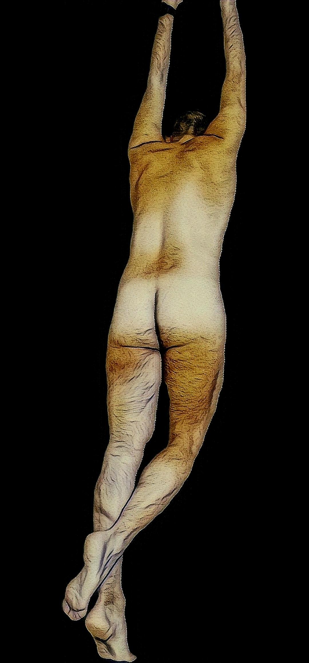 culobianco88 Profile Image
