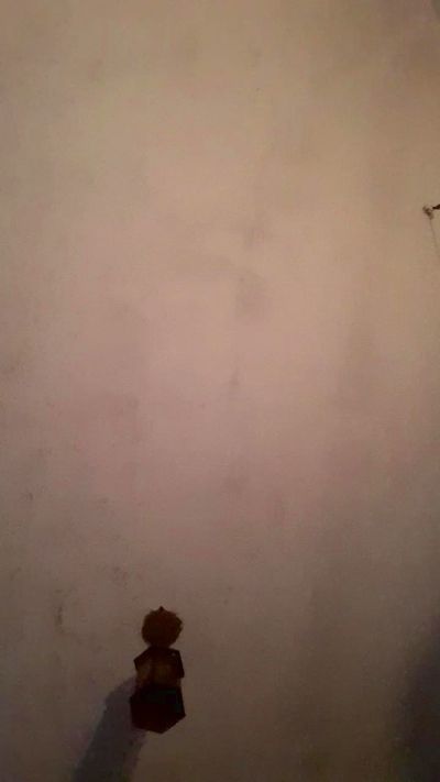 gatomarinjuh live from Brazil