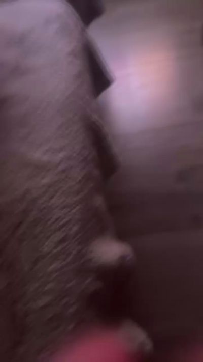 geilbeertje_xxx live from Netherlands