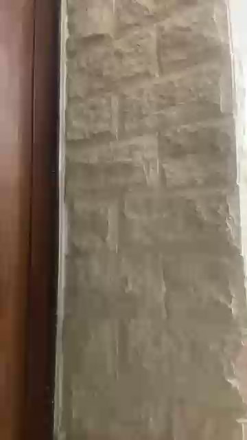 johngay4 live from Egypt