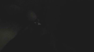 leonjllxv live from Brazil