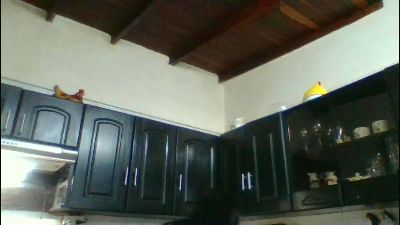 vulma4 live from United States